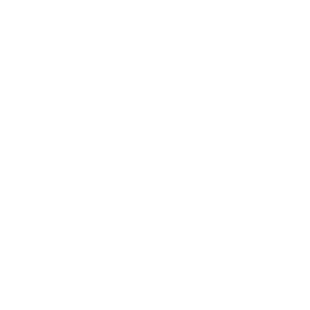 Checklist icon